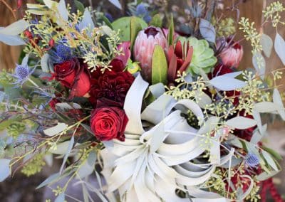 Close-up of a bridal bouquet that includes air plants, protea, burgundy roses, burgundy dahlias, thistle, succulents, safari sunset, eucalyptus, and burgundy orchids.